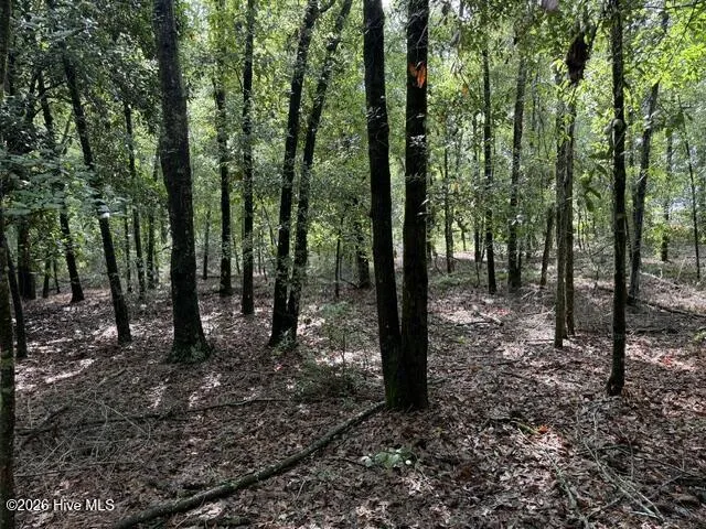 0 N Us Hwy 1 Matthews, GA 30818