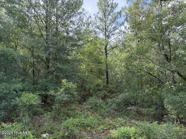 0 N Us Hwy 1 Matthews, GA 30818