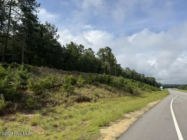 0 N Us Hwy 1 Matthews, GA 30818