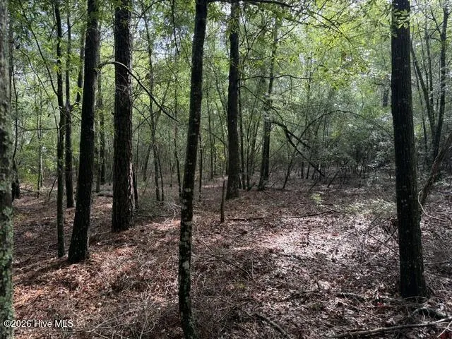 0 N Us Hwy 1 Matthews, GA 30818