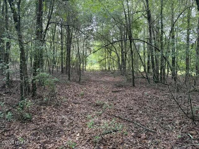 0 N Us Hwy 1 Matthews, GA 30818