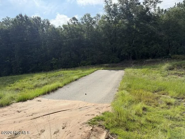 0 N Us Hwy 1 Matthews, GA 30818