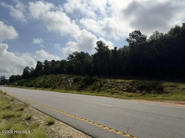0 N Us Hwy 1 Matthews, GA 30818