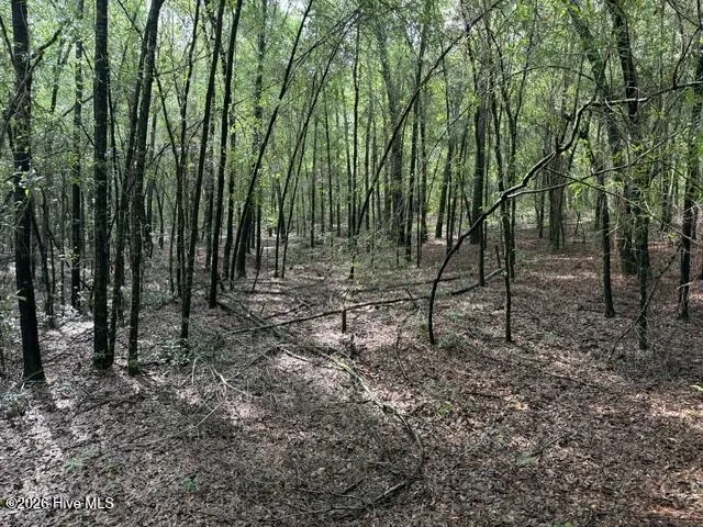 0 N Us Hwy 1 Matthews, GA 30818