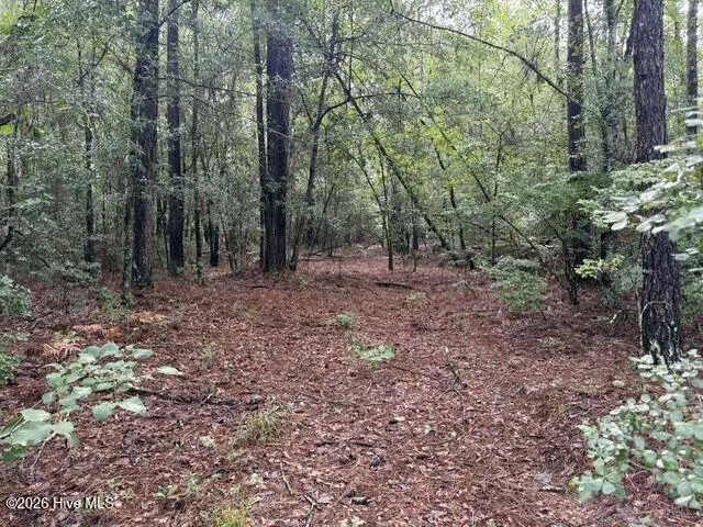 0 N Us Hwy 1 Matthews, GA 30818