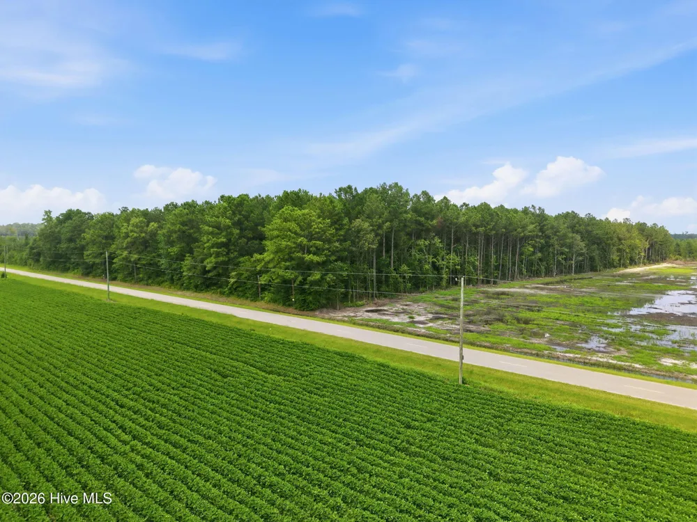 0 Saintsville Road Greenville, NC 27834
