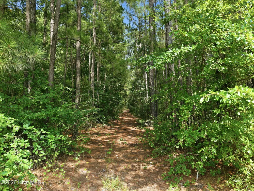 0 Saintsville Road Greenville, NC 27834