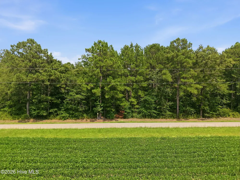0 Saintsville Road Greenville, NC 27834