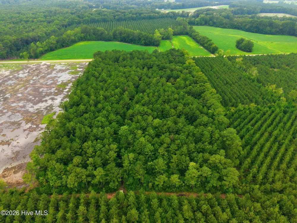 0 Saintsville Road Greenville, NC 27834