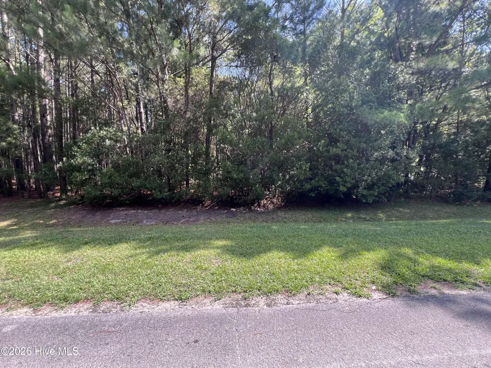 42 Windy Point Belhaven, NC 27810