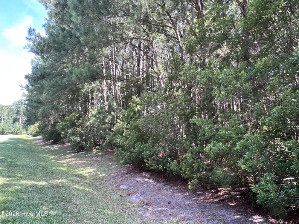 42 Windy Point Belhaven, NC 27810