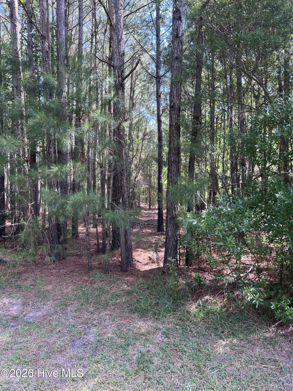 42 Windy Point Belhaven, NC 27810