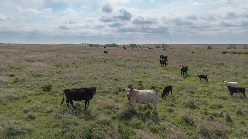 41 E 4500 ROAD Pawnee, OK 73061