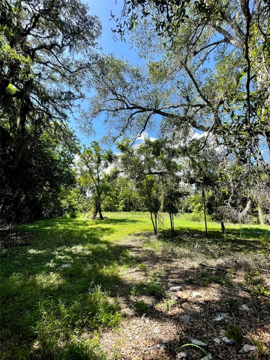 194 E 11TH STREET Apopka, FL 32703