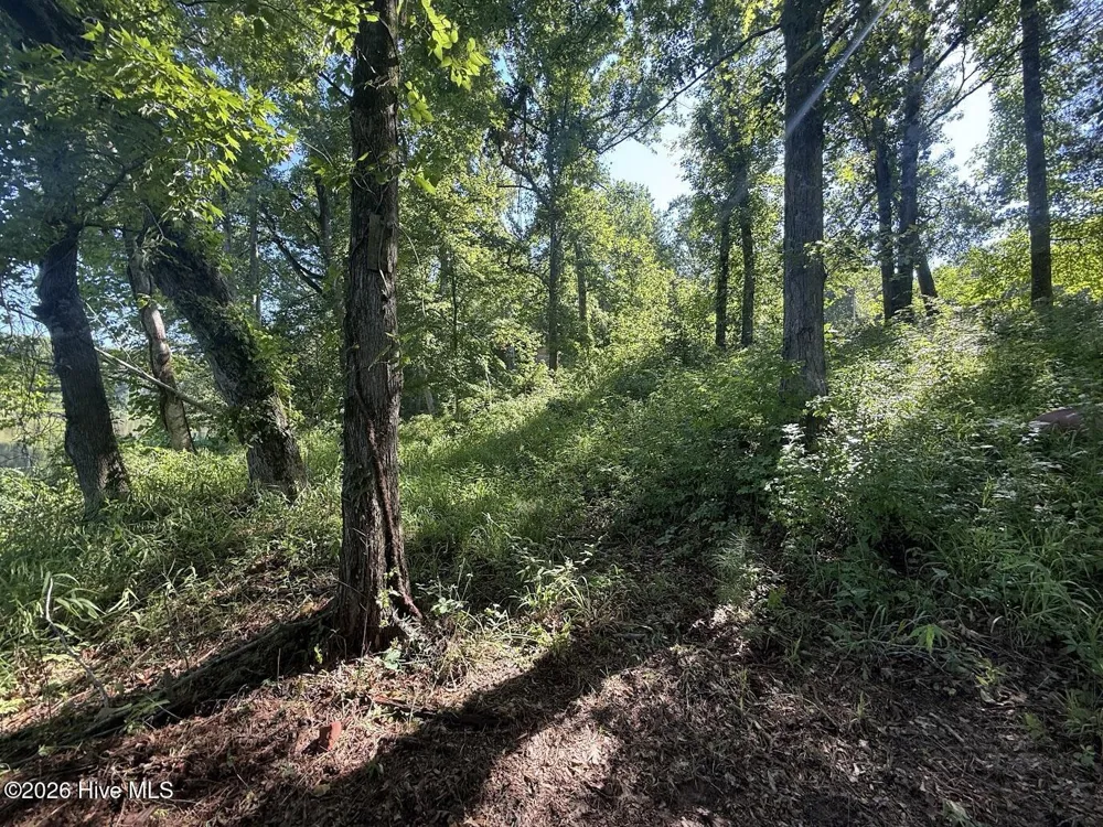 292 Salty Dog Lane North Augusta, SC 29860