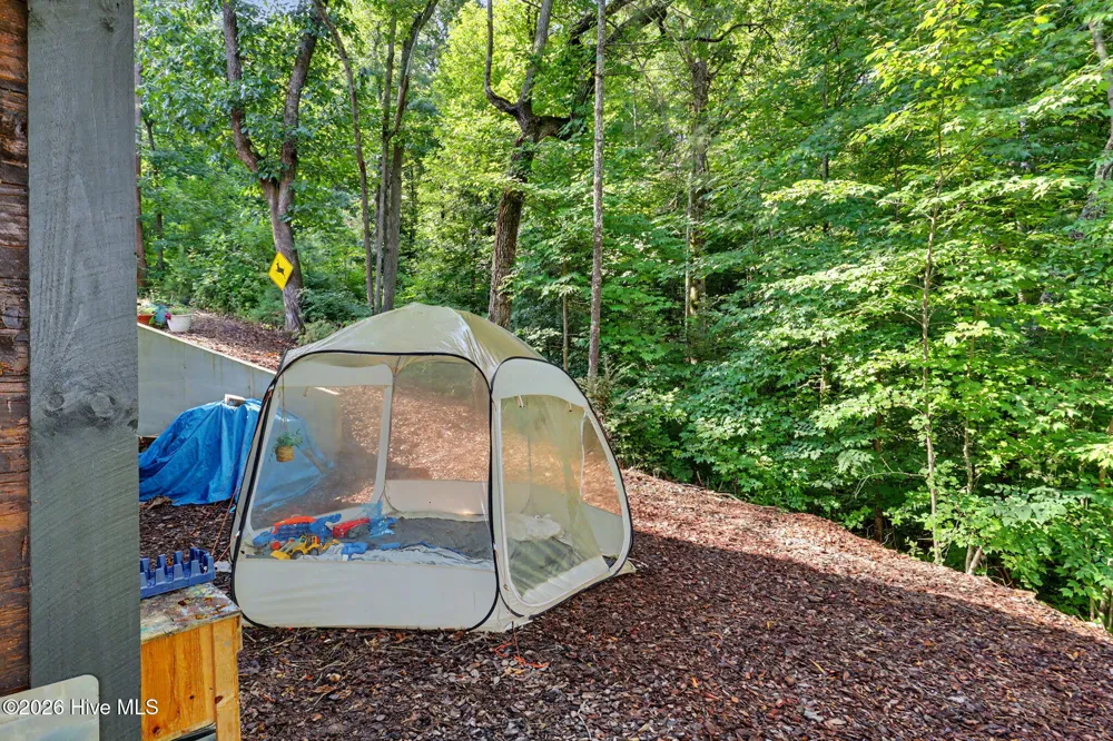 240 Pink Pig Lane Cherry Log, GA 30522