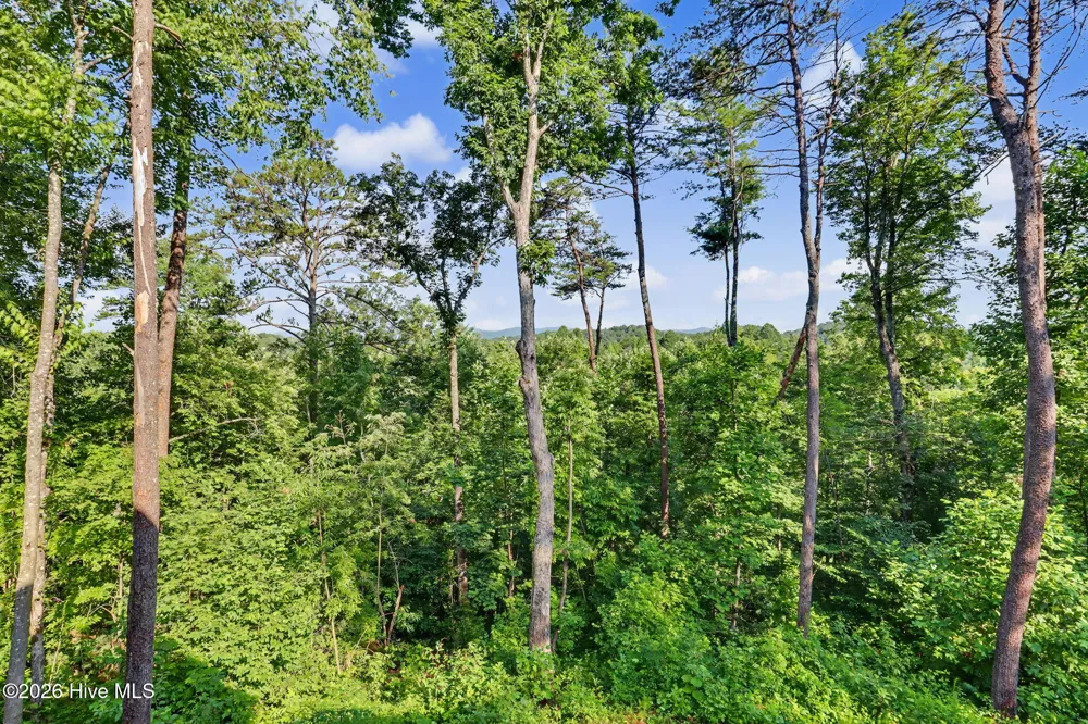 240 Pink Pig Lane Cherry Log, GA 30522