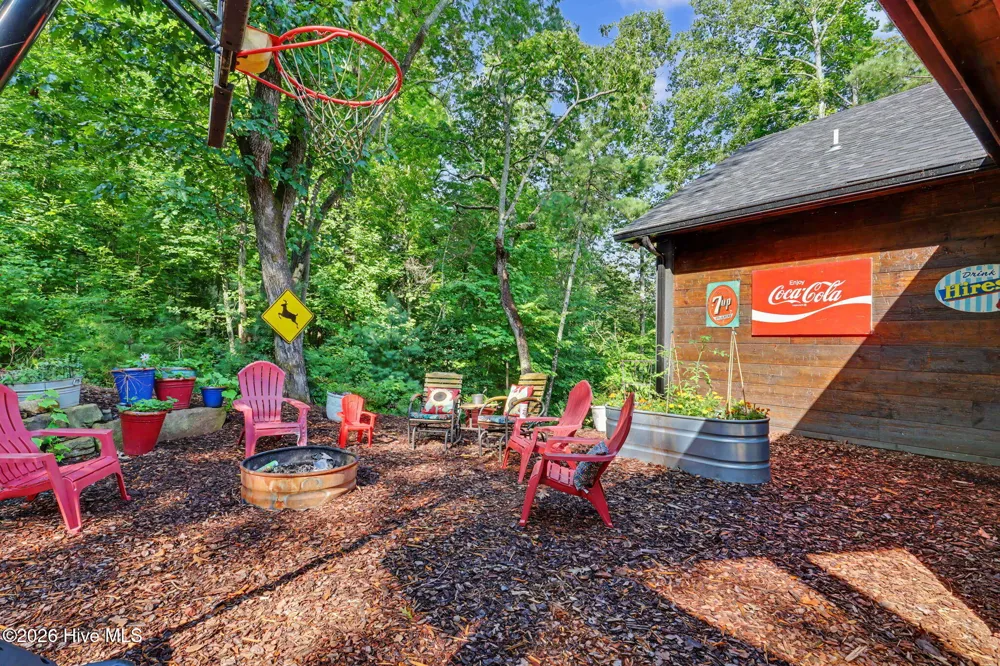 240 Pink Pig Lane Cherry Log, GA 30522