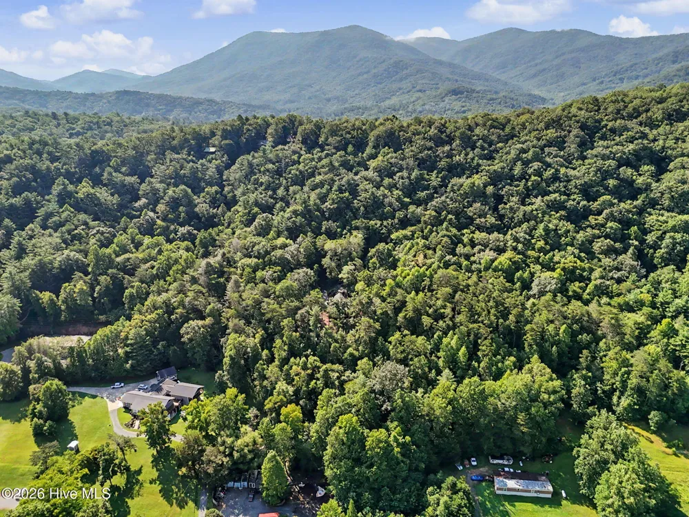 240 Pink Pig Lane Cherry Log, GA 30522