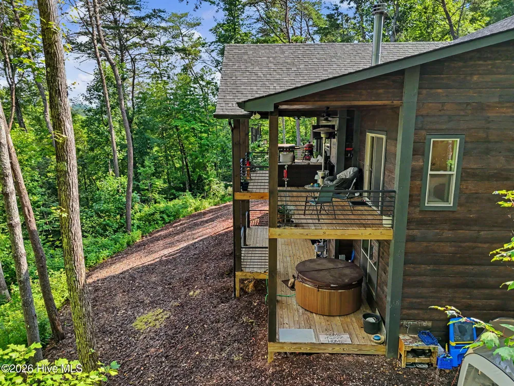 240 Pink Pig Lane Cherry Log, GA 30522