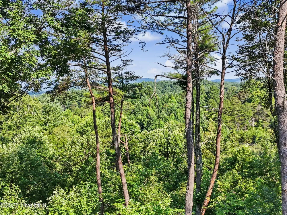 240 Pink Pig Lane Cherry Log, GA 30522