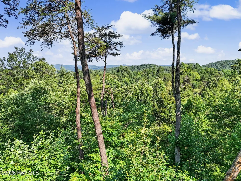240 Pink Pig Lane Cherry Log, GA 30522