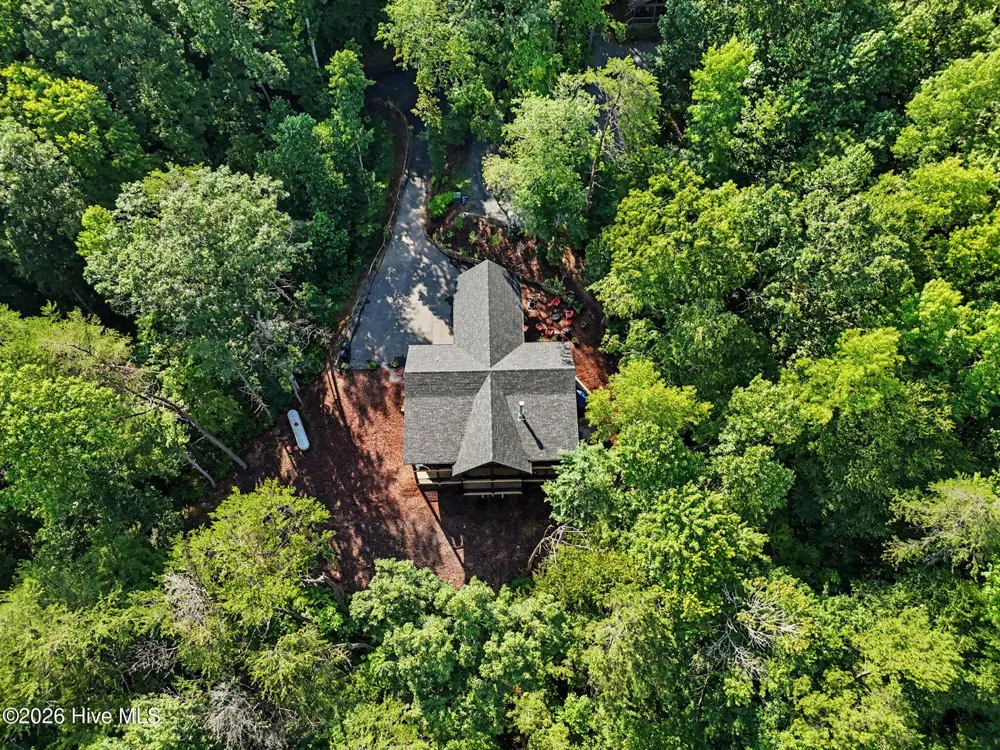 240 Pink Pig Lane Cherry Log, GA 30522