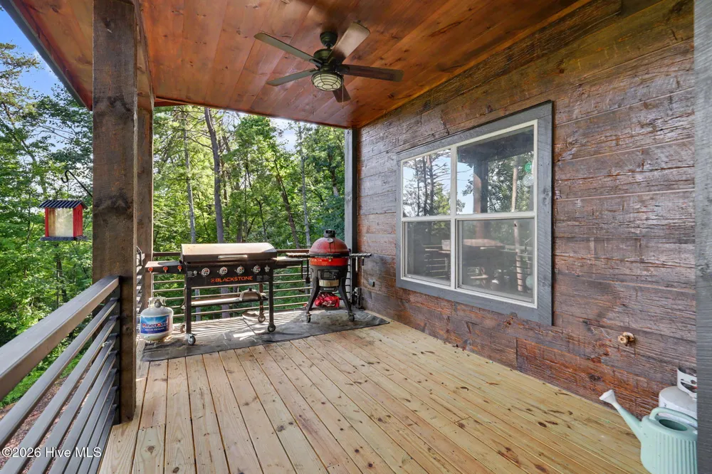 240 Pink Pig Lane Cherry Log, GA 30522