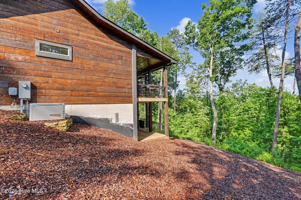 240 Pink Pig Lane Cherry Log, GA 30522