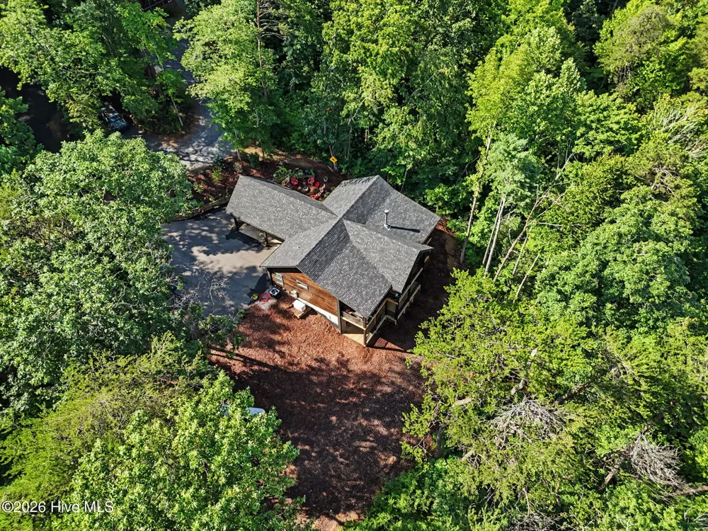 240 Pink Pig Lane Cherry Log, GA 30522