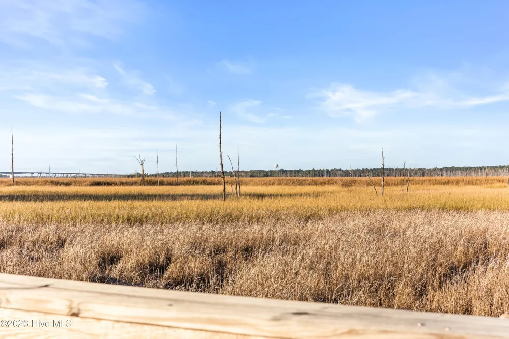 1717 Herons View Drive Wilmington, NC 28401