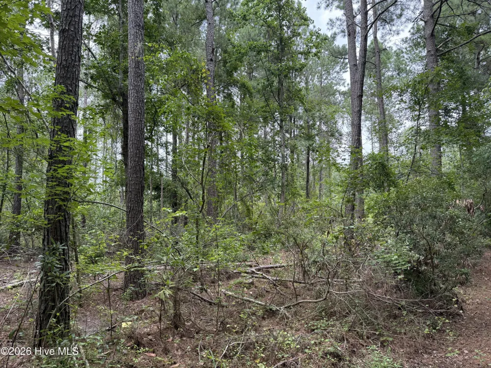 0 Nc 33 Off Aurora, NC 27806
