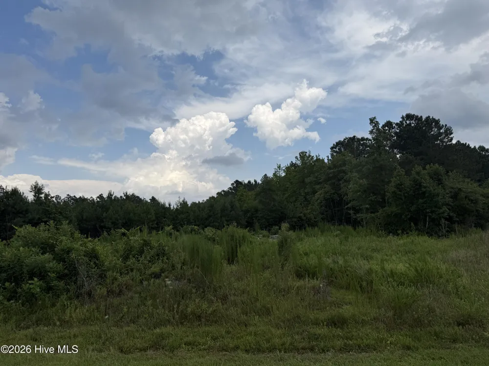 0 Nc 33 Off Aurora, NC 27806
