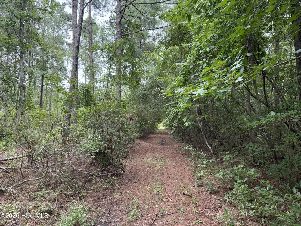 0 Nc 33 Off Aurora, NC 27806