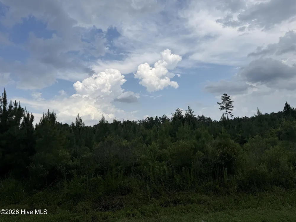 0 Nc 33 Off Aurora, NC 27806
