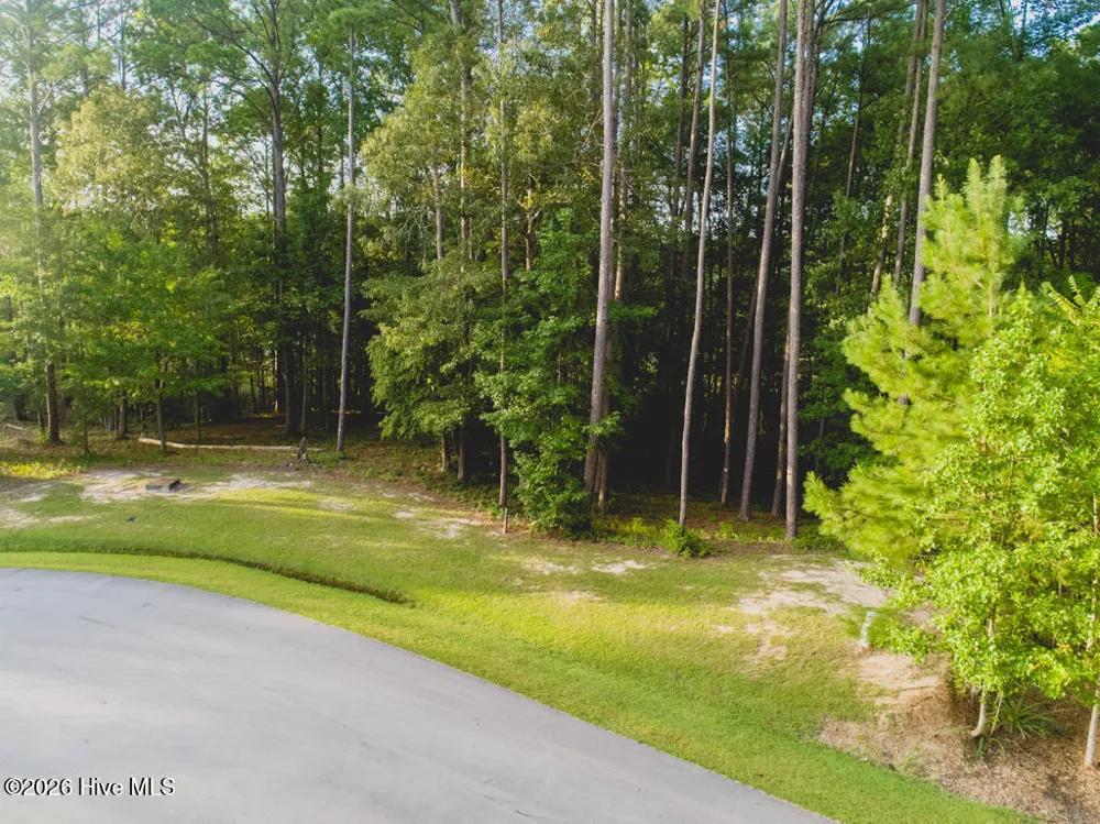 292 Brightleaf Drive Minnesott Beach, NC 28510