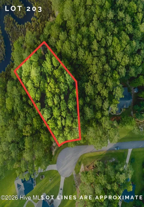 292 Brightleaf Drive