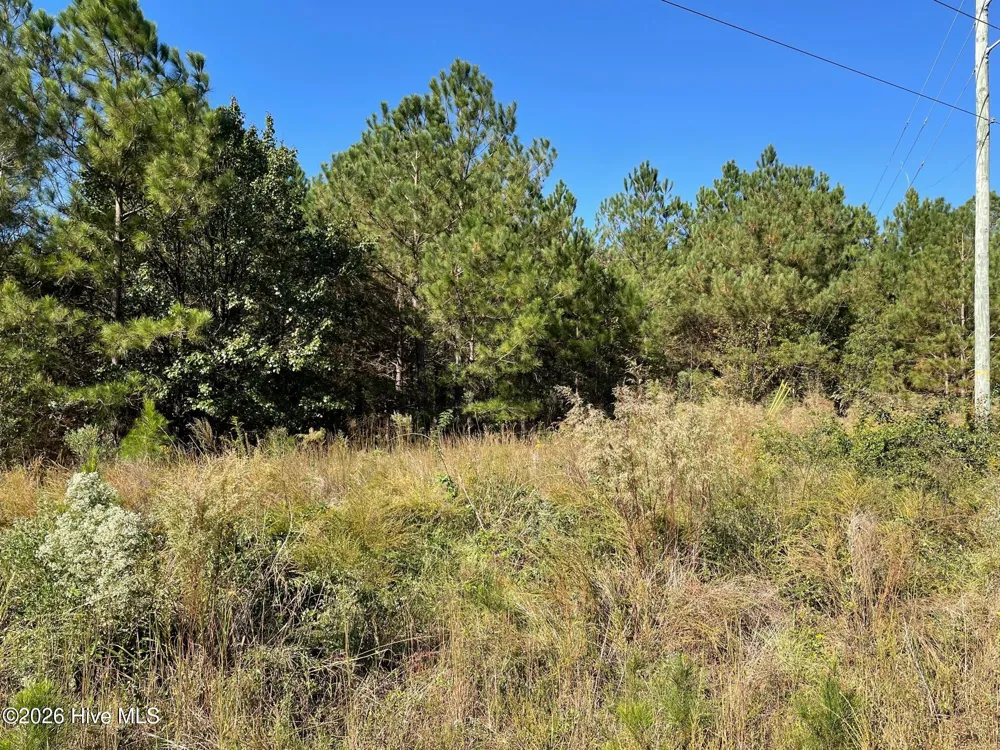 1c Dunn Road Ext Roseboro, NC 28382