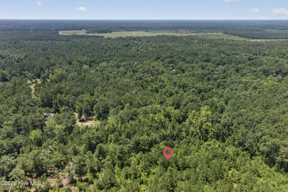 540 Copperhead Lane Burgaw, NC 28425