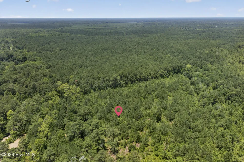 540 Copperhead Lane Burgaw, NC 28425