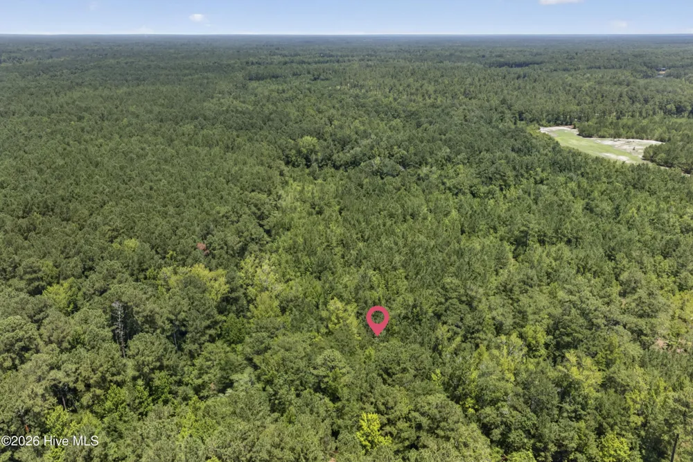 540 Copperhead Lane Burgaw, NC 28425