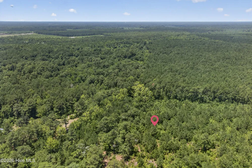 540 Copperhead Lane Burgaw, NC 28425