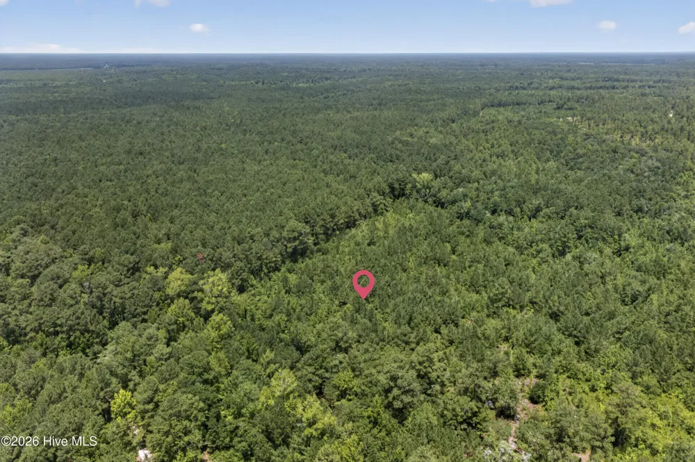 540 Copperhead Lane Burgaw, NC 28425