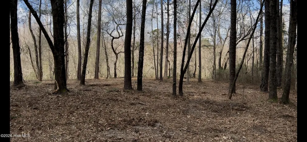 0 Victoria Boulevard Winnabow, NC 28479
