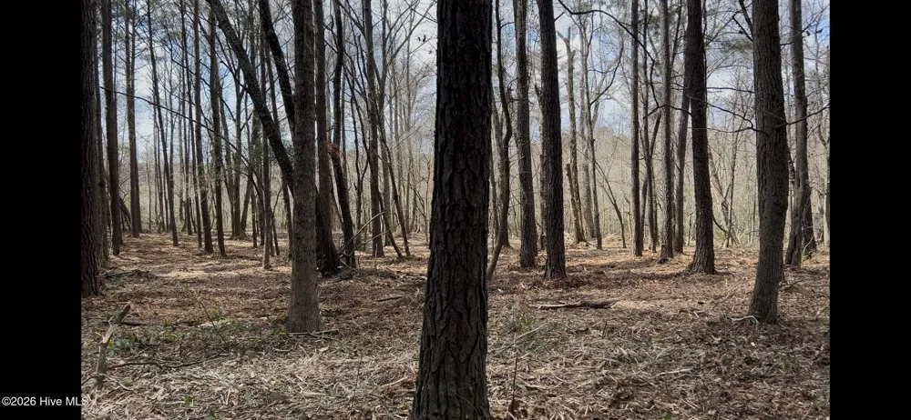 0 Victoria Boulevard Winnabow, NC 28479