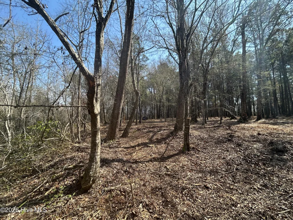 0 Victoria Boulevard Winnabow, NC 28479