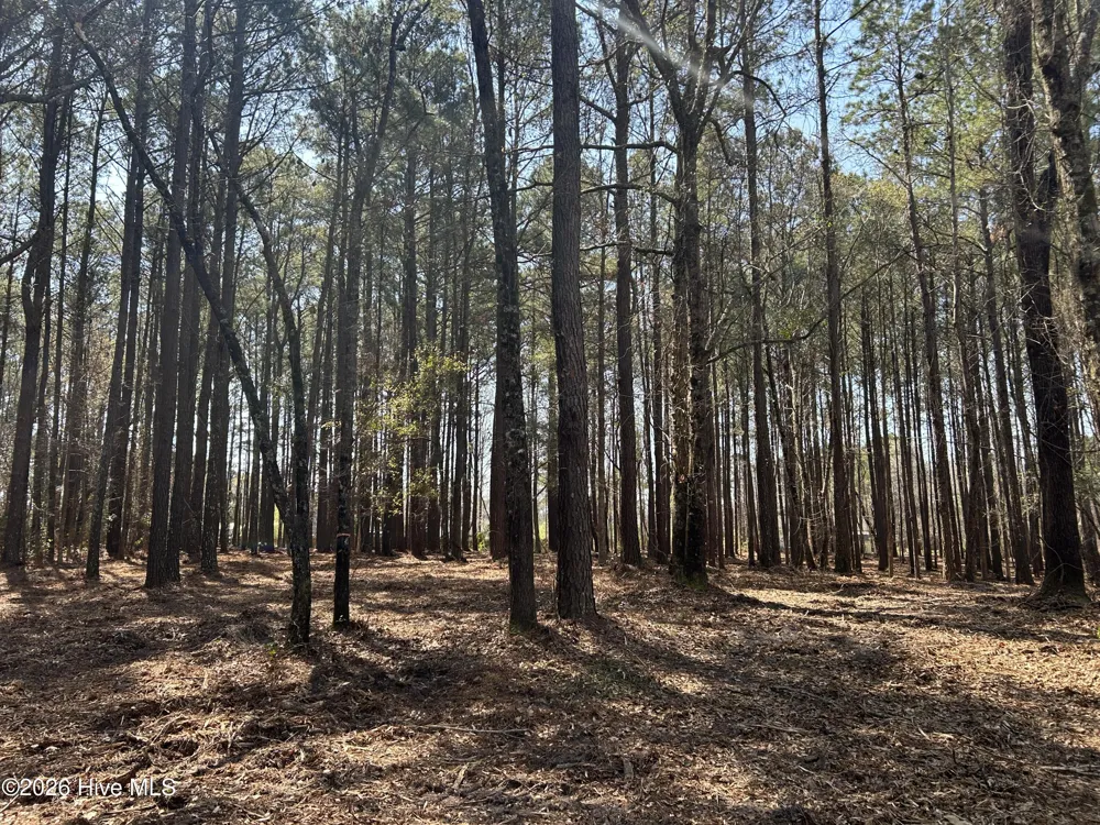 0 Victoria Boulevard Winnabow, NC 28479