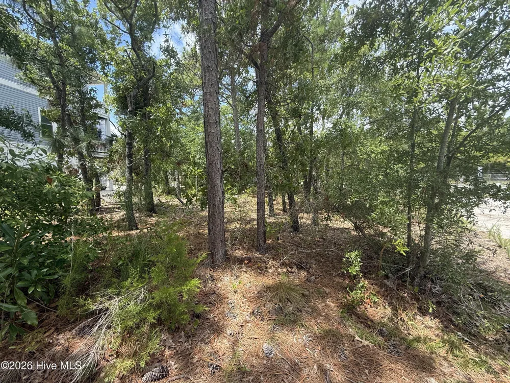 918 Old Dow Road Carolina Beach, NC 28428