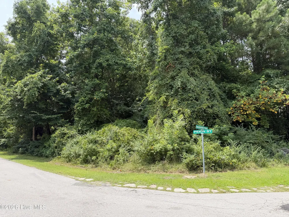 919 Mandarin Trail Jacksonville, NC 28540