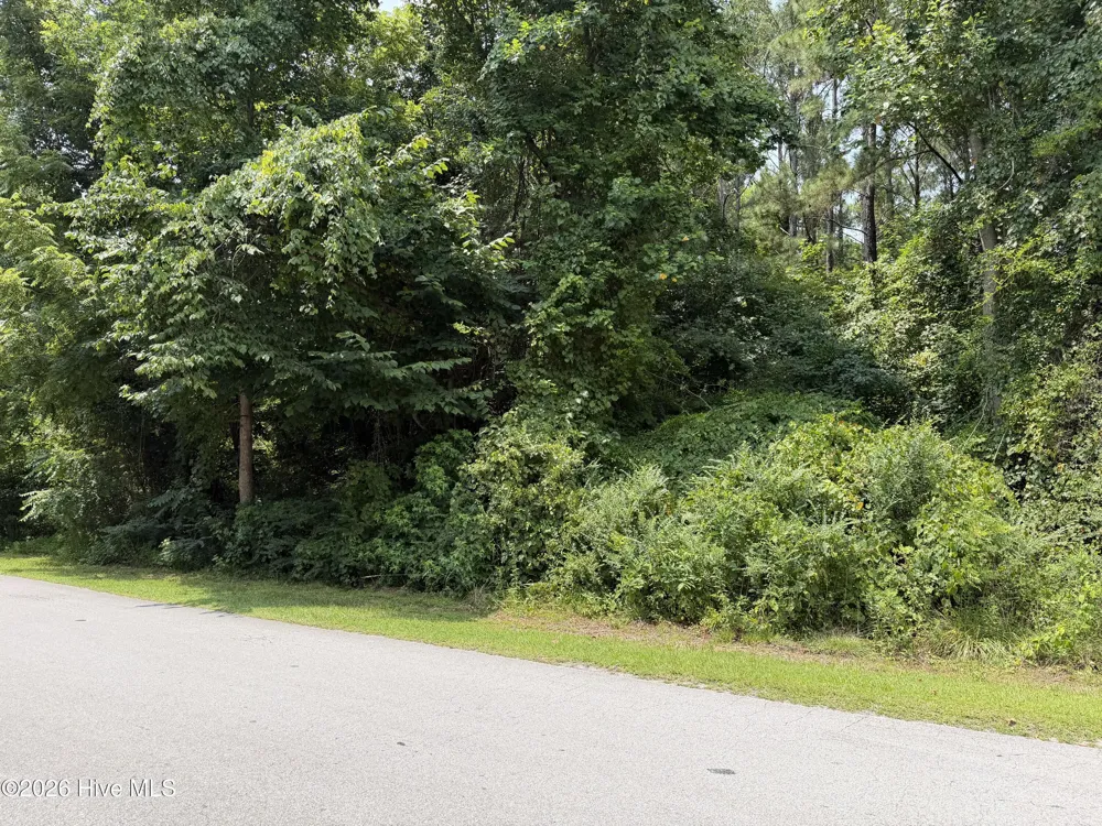 919 Mandarin Trail Jacksonville, NC 28540